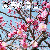 真実の自己