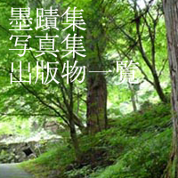 ミオヤの光